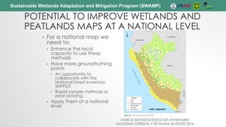 Sustainable Wetlands Adaptation and Mitigation Program (SWAMP)
POTENTIAL TO IMPROVE WETLANDS AND
PEATLANDS MAPS AT A NATIONAL LEVEL
• For a national map we
need to:
• Enhance the local
capacity to use these
methods
• Have more groundtruthing
points
• An opportunity to
collaborate with the
National forest inventory
(INFFS)?
• Rapid sample methods or
peat probing.
• Apply them at a national
level
MARCO METODOLÓGICO DEL INVENTARIO
NACIONAL FORESTAL Y DE FAUNA SILVESTRE 2016
 