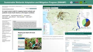 Sustainable Wetlands Adaptation and Mitigation Program (SWAMP)
https://www2.cifor.org/global-wetlands/
https://data.cifor.org/dataverse/swamp
 