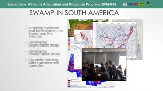 Sustainable Wetlands Adaptation and Mitigation Program (SWAMP)
SWAMP IN SOUTH AMERICA
• Mapping wetlands
and peatlands in the
Andes and the
Amazon
• Developing
degradation maps
• Developing
deforestation maps
• Capacity building
within government
agencies
 