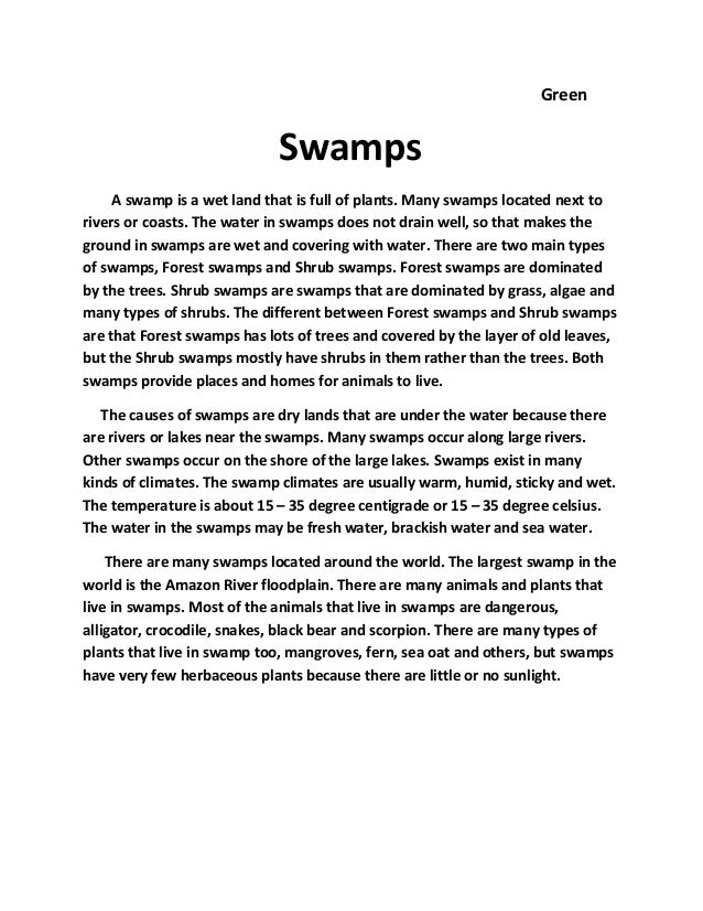 Swamp essay 1