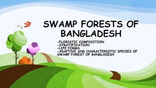 SWAMP FORESTS OF
BANGLADESH
-FLORISTIC COMPOSITION
-STRATIFICATION
-LIFE FORMS
-ADAPTIVE AND CHARACTERISTIC SPECIES OF
SWAMP FOREST OF BANGLADESH
 