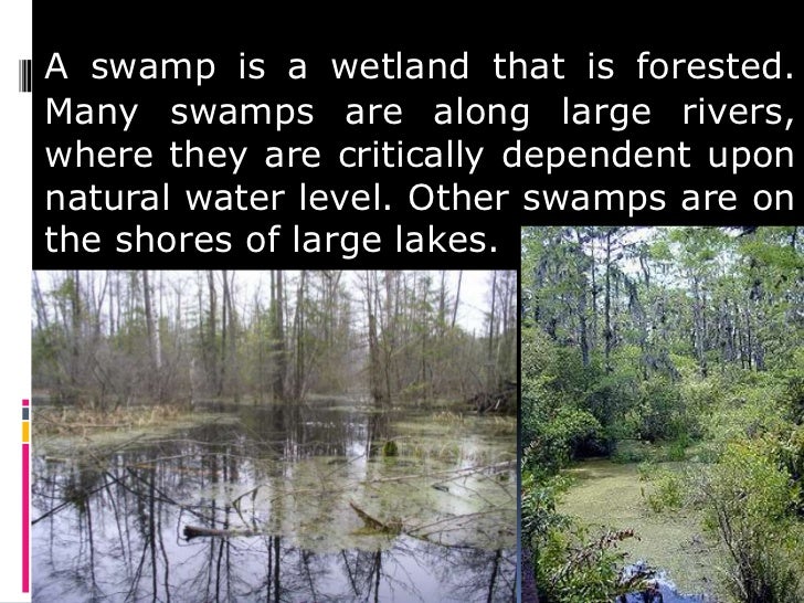Swamps
