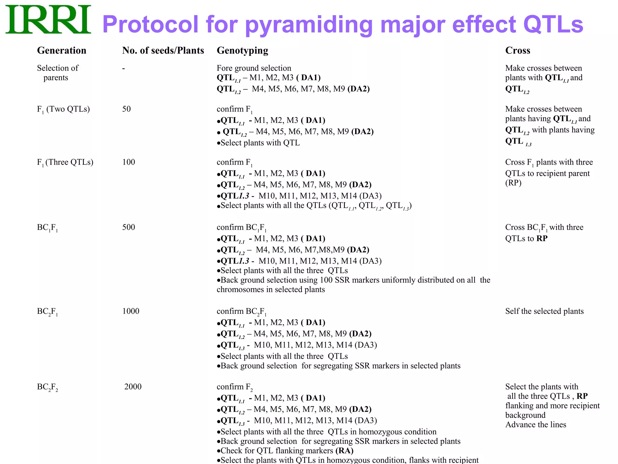 Protocol for pyramiding major effect QTLs
Generation         No. of seeds/Plants   Genotyping                                                                      Cross
Selection of       -                     Fore ground selection                                                           Make crosses between
 parents                                 QTL1.1 – M1, M2, M3 ( DA1)                                                      plants with QTL1.1 and
                                         QTL1.2 – M4, M5, M6, M7, M8, M9 (DA2)                                           QTL1.2

F1 (Two QTLs)      50                    confirm F1                                                                      Make crosses between
                                         •QTL1.1 - M1, M2, M3 ( DA1)                                                     plants having QTL1.1 and
                                         • QTL1.2 – M4, M5, M6, M7, M8, M9 (DA2)                                         QTL1.2 with plants having
                                         •Select plants with QTL                                                         QTL 1.3

F1 (Three QTLs)    100                   confirm F1                                                                      Cross F1 plants with three
                                         •QTL1.1 - M1, M2, M3 ( DA1)                                                     QTLs to recipient parent
                                         •QTL1.2 – M4, M5, M6, M7, M8, M9 (DA2)                                          (RP)
                                         •QTL1.3 - M10, M11, M12, M13, M14 (DA3)
                                         •Select plants with all the QTLs (QTL1.1, QTL1.2, QTL1.3)

BC1F1              500                   confirm BC1F1                                                                   Cross BC1F1 with three
                                         •QTL1.1 - M1, M2, M3 ( DA1)                                                     QTLs to RP
                                         •QTL1.2 – M4, M5, M6, M7,M8,M9 (DA2)
                                         •QTL1.3 - M10, M11, M12, M13, M14 (DA3)
                                         •Select plants with all the three QTLs
                                         •Back ground selection using 100 SSR markers uniformly distributed on all the
                                         chromosomes in selected plants

BC2F1              1000                  confirm BC2F1                                                                   Self the selected plants
                                         •QTL1.1 - M1, M2, M3 ( DA1)
                                         •QTL1.2 – M4, M5, M6, M7, M8, M9 (DA2)
                                         •QTL1.3 - M10, M11, M12, M13, M14 (DA3)
                                         •Select plants with all the three QTLs
                                         •Back ground selection for segregating SSR markers in selected plants

BC2F2              2000                  confirm F2                                                                      Select the plants with
                                         •QTL1.1 - M1, M2, M3 ( DA1)                                                      all the three QTLs , RP
                                                                                                                         flanking and more recipient
                                         •QTL1.2 – M4, M5, M6, M7, M8, M9 (DA2)
                                                                                                                         background
                                         •QTL1.3 - M10, M11, M12, M13, M14 (DA3)                                         Advance the lines
                                         •Select plants with all the three QTLs in homozygous condition
                                         •Back ground selection for segregating SSR markers in selected plants
                                         •Check for QTL flanking markers (RA)
                                         •Select the plants with QTLs in homozygous condition, flanks with recipient
 