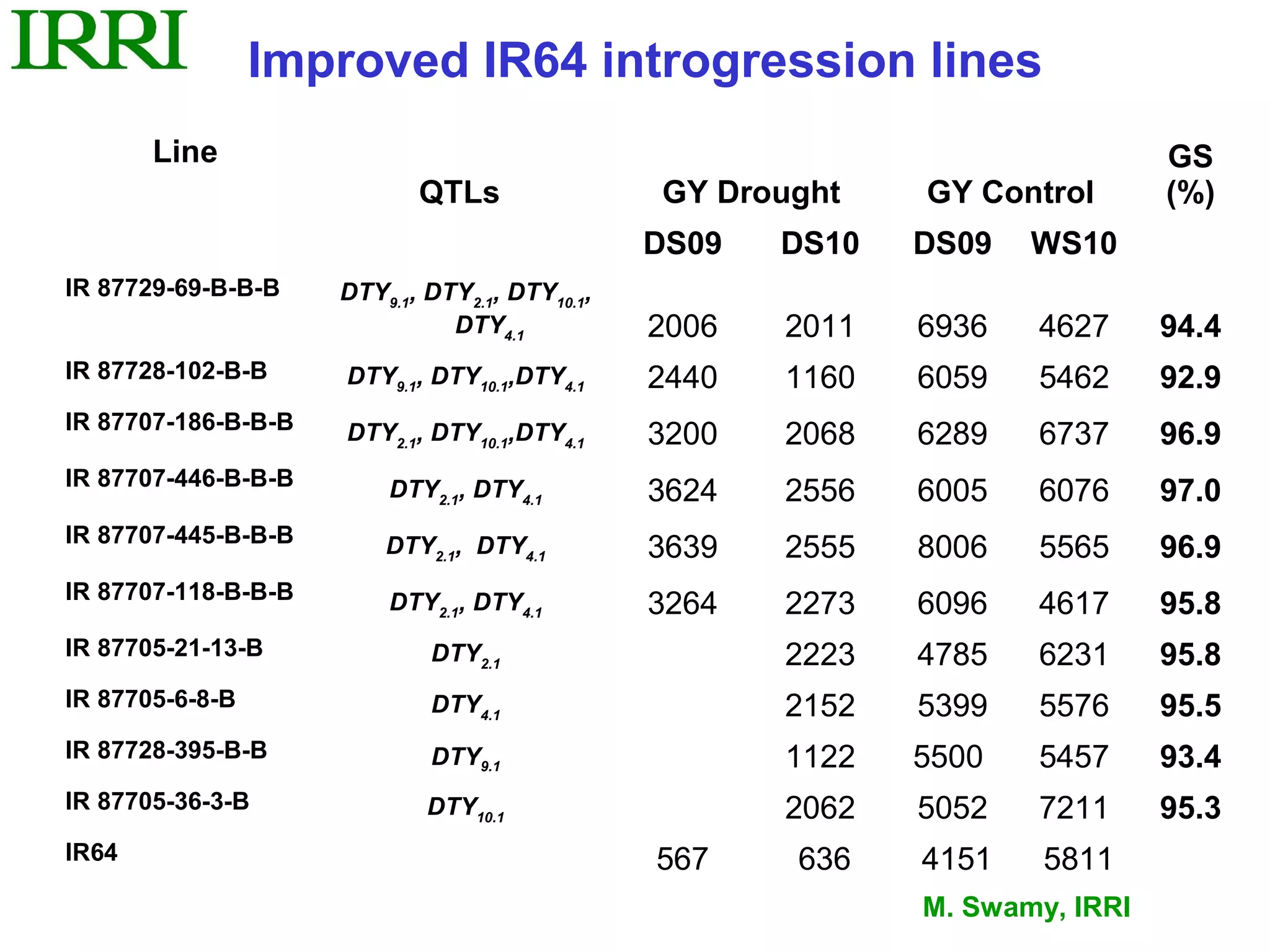 Improved IR64 introgression lines
       Line                                                                    GS
                            QTLs                GY Drought    GY Control       (%)
                                                DS09   DS10   DS09   WS10
IR 87729-69-B-B-B    DTY9.1, DTY2.1, DTY10.1,
                               DTY4.1           2006   2011   6936   4627      94.4
IR 87728-102-B-B     DTY9.1, DTY10.1,DTY4.1     2440   1160   6059   5462      92.9
IR 87707-186-B-B-B   DTY2.1, DTY10.1,DTY4.1     3200   2068   6289   6737      96.9
IR 87707-446-B-B-B       DTY2.1, DTY4.1         3624   2556   6005   6076      97.0
IR 87707-445-B-B-B       DTY2.1, DTY4.1         3639   2555   8006   5565      96.9
IR 87707-118-B-B-B       DTY2.1, DTY4.1         3264   2273   6096   4617      95.8
IR 87705-21-13-B             DTY2.1                    2223   4785   6231      95.8
IR 87705-6-8-B               DTY4.1                    2152   5399   5576      95.5
IR 87728-395-B-B             DTY9.1                    1122   5500   5457      93.4
IR 87705-36-3-B              DTY10.1                   2062   5052   7211      95.3
IR64                                            567    636    4151    5811
                                                              M. Swamy, IRRI
 