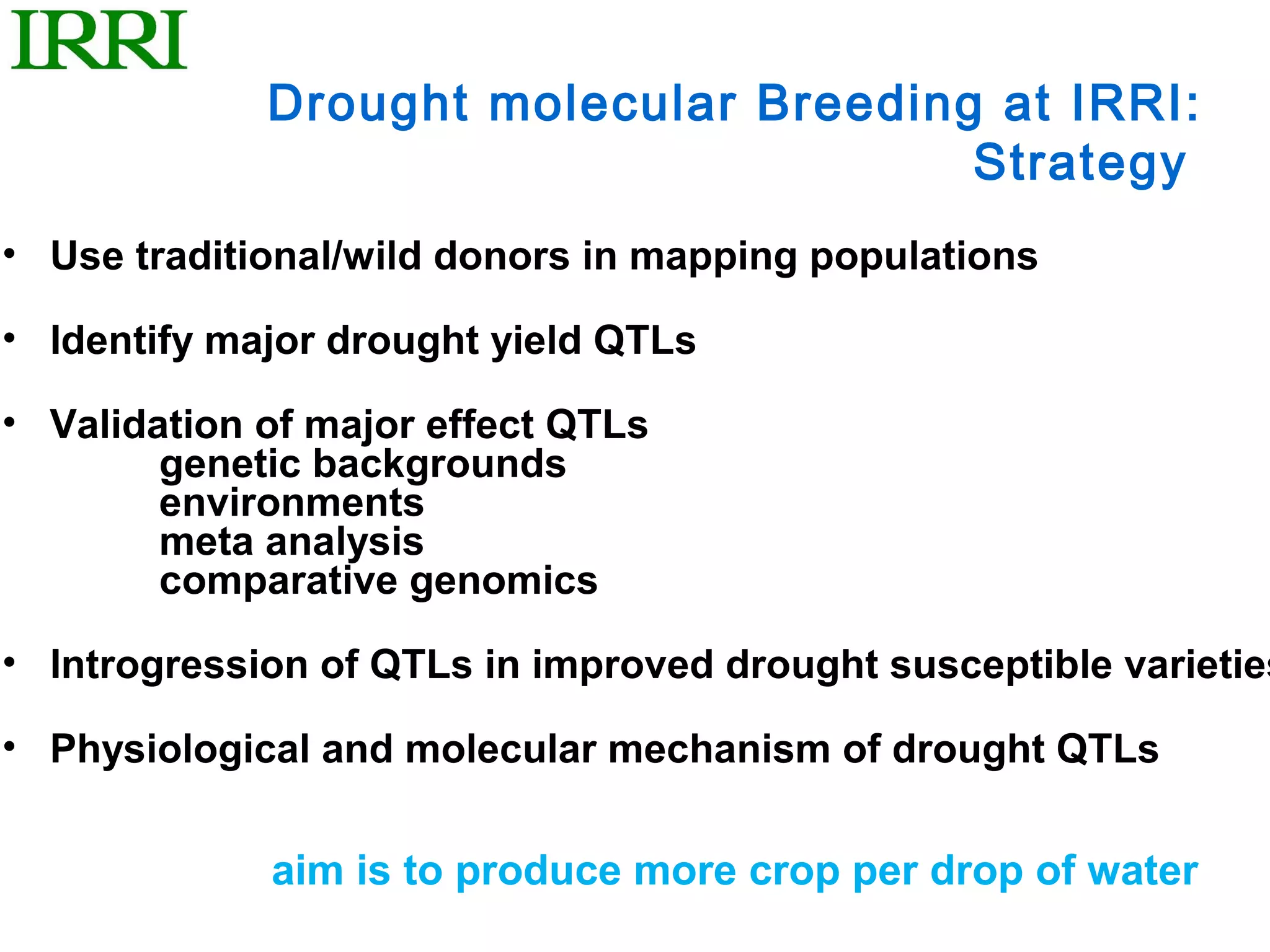 Drought molecular Breeding at IRRI:
                                       Strategy
• Use traditional/wild donors in mapping populations

• Identify major drought yield QTLs

• Validation of major effect QTLs
        genetic backgrounds
        environments
        meta analysis
        comparative genomics

• Introgression of QTLs in improved drought susceptible varieties

• Physiological and molecular mechanism of drought QTLs


             aim is to produce more crop per drop of water
 