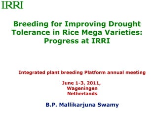 Breeding for Improving Drought
Tolerance in Rice Mega Varieties:
        Progress at IRRI



 Integrated plant breeding Platform annual meeting

                 June 1-3, 2011,
                   Wageningen
                   Netherlands

           B.P. Mallikarjuna Swamy
 