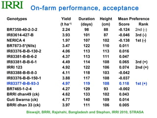 On-farm performance, acceptance
Genotypes                    Yield     Duration   Height     Mean Preference
                            (t ha-1)    (days)     (cm)      Score     Rank
BR7358-40-2-3-2              2.24         98        88       -0.124 2nd (-)
IR83614-427-B                3.93        101        87       -0.046 3rd (-)
NERICA 4                     1.97        107        102      -0.138 1st (-)
BR7873-5*(Nils)              3.47        122        110       0.011
IR83376-B-B-130-2            4.06        113        113       0.016
IR83381-B-B-6-2              4.37        113        111       0.047
IR83381-B-B-6-1              4.49        114        108       0.065  3rd (+)
IRRI 123                     4.92        122        106       0.074  2nd (+)
IR83388-B-B-8-3              4.11        118        103      -0.042
IR83376-B-B-150-1            3.88        117        108      -0.037
IR83377-B-B-93-3             4.97        119        108       0.118  1st (+)
BR7465-1-2-4                 4.27        129        93       -0.002
BRRI dhan49 (ck)             4.62        133        102       0.043
Guti Swarna (ck)             4.77        140        109       0.014
BRRI dhan 33 (ck)            3.97        111        106       0.005
         Biswajit, BRRI, Rajshahi, Bangladesh and Stephan, IRRI 2010, STRASA
 