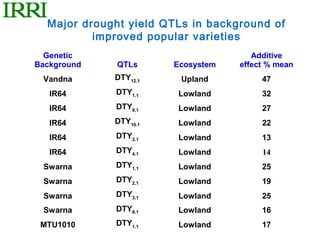 Major drought yield QTLs in background of
          improved popular varieties
  Genetic                             Additive
Background    QTLs     Ecosystem   effect % mean
 Vandna      DTY12.1     Upland         47
   IR64      DTY1.1     Lowland         32
   IR64      DTY9.1     Lowland         27
   IR64      DTY10.1    Lowland         22
   IR64      DTY2.1     Lowland         13
   IR64      DTY4.1     Lowland         14
 Swarna      DTY1.1     Lowland         25
 Swarna      DTY2.1     Lowland         19
 Swarna      DTY3.1     Lowland         25
 Swarna      DTY8.1     Lowland         16
 MTU1010     DTY1.1     Lowland         17
 