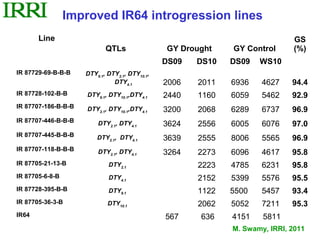Improved IR64 introgression lines
       Line                                                                   GS
                            QTLs                GY Drought    GY Control      (%)
                                                DS09   DS10   DS09   WS10
IR 87729-69-B-B-B    DTY9.1, DTY2.1, DTY10.1,
                               DTY4.1           2006   2011   6936    4627    94.4
IR 87728-102-B-B     DTY9.1, DTY10.1,DTY4.1     2440   1160   6059    5462    92.9
IR 87707-186-B-B-B   DTY2.1, DTY10.1,DTY4.1     3200   2068   6289    6737    96.9
IR 87707-446-B-B-B       DTY2.1, DTY4.1         3624   2556   6005    6076    97.0
IR 87707-445-B-B-B       DTY2.1, DTY4.1         3639   2555   8006    5565    96.9
IR 87707-118-B-B-B       DTY2.1, DTY4.1         3264   2273   6096    4617    95.8
IR 87705-21-13-B             DTY2.1                    2223   4785    6231    95.8
IR 87705-6-8-B               DTY4.1                    2152   5399    5576    95.5
IR 87728-395-B-B             DTY9.1                    1122   5500    5457    93.4
IR 87705-36-3-B              DTY10.1                   2062   5052    7211    95.3
IR64                                            567    636    4151    5811
                                                              M. Swamy, IRRI, 2011
 