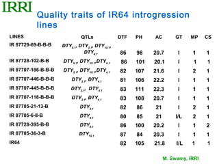 Quality traits of IR64 introgression
           lines
LINES                         QTLs              DTF   PH    AC       GT     MP    CS
IR 87729-69-B-B-B    DTY9.1, DTY2.1, DTY10.1,
                               DTY4.1           86    98    20.7       I    1     1
IR 87728-102-B-B     DTY9.1, DTY10.1,DTY4.1     86    101   20.1       I     1    1
IR 87707-186-B-B-B   DTY2.1, DTY10.1,DTY4.1     82    107   21.6       I    2     1
IR 87707-446-B-B-B       DTY2.1, DTY4.1         81    106   22.2       I    1     1
IR 87707-445-B-B-B       DTY2.1, DTY4.1         83    111   22.3       I    1     1
IR 87707-118-B-B-B       DTY2.1, DTY4.1         83    108   20.7       I    1     1
IR 87705-21-13-B             DTY2.1             82    86    21         I    2     1
IR 87705-6-8-B               DTY4.1             80    85    21        I/L   2     1
IR 87728-395-B-B             DTY9.1             86    100   20.2       I    1     2
IR 87705-36-3-B              DTY10.1            87    84    20.3       I    1     1
IR64                                            82    105   21.8      I/L   1     1

                                                                 M. Swamy, IRRI
 