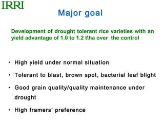 Major goal

Development of drought tolerant rice varieties with an
yield advantage of 1.0 to 1.2 tha over the control



• High yield under normal situation

• Tolerant to blast, brown spot, bacterial leaf blight

• Good grain quality/quality maintenance under
  drought

• High framers’ preference
 