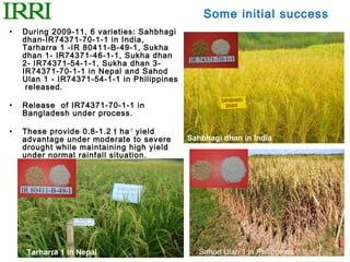 Some initial success
•   During 2009-11, 6 varieties: Sahbhagi
    dhan-IR74371-70-1-1 in India,
    Tarharra 1 -IR 80411-B-49-1, Sukha
    dhan 1- IR74371-46-1-1, Sukha dhan
    2- IR74371-54-1-1, Sukha dhan 3-
    IR74371-70-1-1 in Nepal and Sahod
    Ulan 1 - IR74371-54-1-1 in Philippines
     released.

•   Release of IR74371-70-1-1 in
    Bangladesh under process.

•   These provide 0.8-1.2 t ha -1 yield
    advantage under moderate to severe       Sahbhagi dhan in India
    drought while maintaining high yield
    under normal rainfall situation.




     Tarharra 1 in Nepal                        Sahod Ulan 1 in Philippines
 