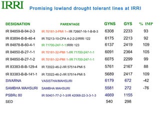 Promising lowland drought tolerant lines at IRRI


DESIGNATION                      PARENTAGE                    GYNS   GYS    % IMP
IR 84859-B-94-2-3    IR 70181-3-PMI 1--/IR 72667-16-1-B-B-3   6308   2233    93
IR 83894-B-B-46-4    IR 70213-10-CPA 4-2-2-2/IRRI 122         6175   2213    92
IR 84878-B-60-4-1    IR 71700-247-1-1/IRRI 123                6137   2419    109
IR 84850-B-27-1-1    IR 70181-32-PMI 1-/IR 71700-247-1-1      6091   2364    105
IR 84850-B-27-1-2    IR 70181-32-PMI 1-/IR 71700-247-1-1      6075   2299    99
IR 83383-B-B-129-4   IR 72022-46-2-/IR 57514-PMI 5            5761   2167    88
IR 83383-B-B-141-1   IR 72022-46-2-/IR 57514-PMI 5            5689   2417    109
SWARNA               VASISTHA/MAHSURI                         6179   672     -42
SAMBHA MAHSURI       SAMBHA MAHSURI                           5581   272     -76
PSBRc 80             IR 50401-77-2-1-3/IR 42068-22-3-3-1-3    4669   1155
SED                                                           540    298
 