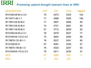 Promising upland drought tolerant lines at IRRI

DESIGNATION                  DTF      GYI      GYD     >Apo%
IR 81063-B-94-U 3-2           70     4273      3324         124
IR 74371-46-1-1               71     4586      3050         106
IR 79913-B-20-B-2             71     3807      2895         95
IR 79913-B-33-B-4             74     3721      2881         95
IR 79971-B-93-B-3             61     3712      2839         92
IR 81063-B-94-U 3-1           76     4579      2627         77
IR 81044-B-112-U 4-2          73     3604      2464         66
IR 78875-131-B-1-1            76     3537      2451         65
IR 81429-B-31                 67     4061      2325         57
IR 78875-190-B-1-3            76     4323      2247         52
IR 81039-B-173-U 3-3          76     3911      2234         51
APO                           87     3888      1481         0
SED                           2       354      423
 
