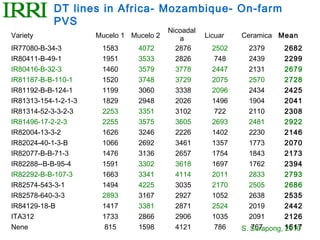 DT lines in Africa- Mozambique- On-farm
            PVS
                                          Nicoadal
Variety               Mucelo 1 Mucelo 2      a       Licuar   Ceramica Mean
IR77080-B-34-3         1583      4072       2876       2502     2379       2682
IR80411-B-49-1         1951      3533       2826        748     2439       2299
IR80416-B-32-3         1460      3579       3778       2447     2131       2679
IR81187-B-B-110-1      1520      3748       3729       2075     2570       2728
IR81192-B-B-124-1      1199      3060       3338       2096     2434       2425
IR81313-154-1-2-1-3    1829      2948       2026       1496     1904       2041
IR81314-52-3-3-2-3     2253      3351       3102        722     2110       2308
IR81496-17-2-2-3       2255      3575       3605       2693     2481       2922
IR82004-13-3-2         1626      3246       2226       1402     2230       2146
IR82024-40-1-3-B       1066      2692       3461       1357     1773       2070
IR82077-B-B-71-3       1476      3136       2657       1754     1843       2173
IR82288--B-B-95-4      1591      3302       3618       1697     1762       2394
IR82292-B-B-107-3      1663      3341       4114       2011     2833       2793
IR82574-543-3-1        1494      4225       3035       2170     2505       2686
IR82578-640-3-3        2893      3167       2927       1052     2638       2535
IR84129-18-B           1417      3381       2871       2524     2019       2442
ITA312                 1733      2866       2906       1035     2091       2126
Nene                    815      1598       4121        786   S. Surapong, 1617
                                                                 767       2010
 