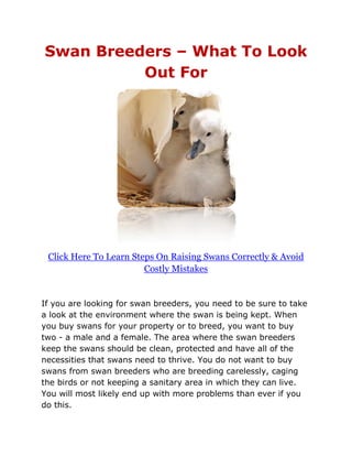 Swan Breeders – What To Look
          Out For




 Click Here To Learn Steps On Raising Swans Correctly & Avoid
                        Costly Mistakes


If you are looking for swan breeders, you need to be sure to take
a look at the environment where the swan is being kept. When
you buy swans for your property or to breed, you want to buy
two - a male and a female. The area where the swan breeders
keep the swans should be clean, protected and have all of the
necessities that swans need to thrive. You do not want to buy
swans from swan breeders who are breeding carelessly, caging
the birds or not keeping a sanitary area in which they can live.
You will most likely end up with more problems than ever if you
do this.
 