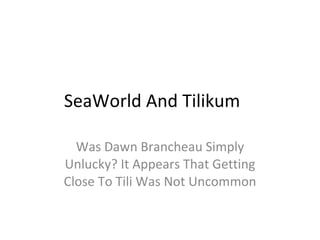 SeaWorld And Tilikum Was Dawn Brancheau Simply Unlucky? It Appears That Getting Close To Tili Was Not Uncommon 