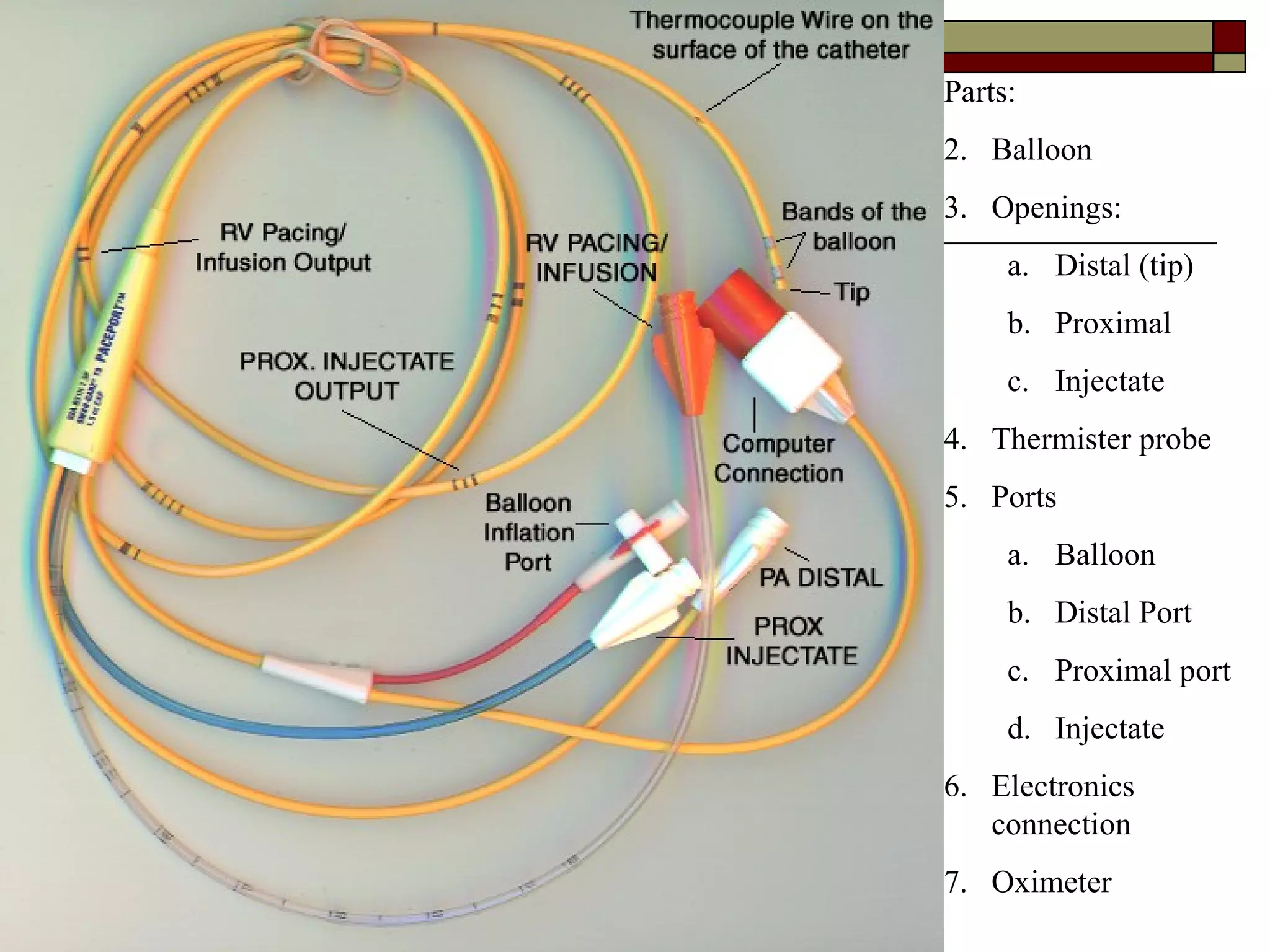 Parts:
2. Balloon
3. Openings:
     a. Distal (tip)
     b. Proximal
     c. Injectate
4. Thermister probe
5. Ports
     a. Balloon
     b. Distal Port
     c. Proximal port
     d. Injectate
6. Electronics
   connection
7. Oximeter
 