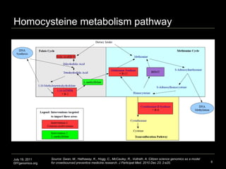 Homocysteine metabolism pathway July 19, 2011 DIYgenomics.org Source: Swan, M., Hathaway, K., Hogg, C., McCauley, R., Voll...