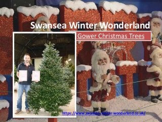 Swansea Winter Wonderland
Gower Christmas Trees
https://www.swansea-winter-wonderland.co.uk/
 