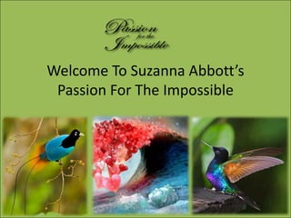 Welcome To Suzanna Abbott’s
 Passion For The Impossible
 
