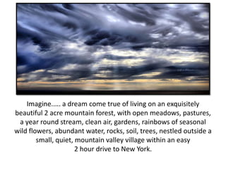 Imagine..... a dream come true of living on an exquisitely
beautiful 2 acre mountain forest, with open meadows, pastures,
 a year round stream, clean air, gardens, rainbows of seasonal
wild flowers, abundant water, rocks, soil, trees, nestled outside a
        small, quiet, mountain valley village within an easy
                      2 hour drive to New York.
 