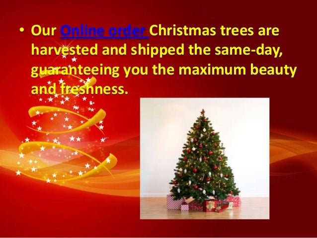 swan valley christmas trees swan valley christmas trees