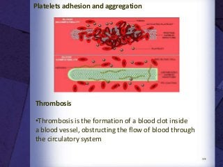 39
Platelets adhesion and aggregation
Thrombosis
•Thrombosis is the formation of a blood clot inside
a blood vessel, obstructing the flow of blood through
the circulatory system
 