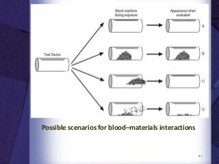 41
Possible scenarios for blood–materials interactions
 
