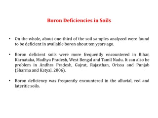 Importance and use of micro-nutrient 'Boron' in vegetable crops | PPTX