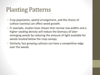 Planting Patterns
• Crop population, spatial arrangement, and the choice of
cultivar (variety) can affect weed growth.
• Fr example, studies have shown that narrow row widths and a
higher seeding density will reduce the biomass of later-
emerging weeds by reducing the amount of light available for
weeds located below the crop canopy.
• Similarly, fast growing cultivars can have a competitive edge
over the weeds
 
