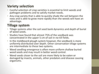 Variety selection
• Careful selection of crop varieties is essential to limit weeds and
pathogen problems and to satisfy market needs.
• Any crop variety that is able to quickly shade the soil between the
rows and is able to grow more rapidly than the weeds will have an
advantage.
Tillage system
• Tillage systems alter the soil seed bank dynamics and depth of burial
of weed seeds.
• Studies have found that almost 75% of the seedbank was
concentrated in the upper 5 cm of soil in no-till fields.
• In the moldboard plough system however, the seedbank is more
uniformly distributed over depth. Other conservation tillage systems
are intermediate to these two systems.
• Weed seedling emergence is often more uniform shallow buried
weed seeds and may result in better weed control.
• Weed seeds closer to the soil are more likely to be eaten or
damaged by insects, animals, other predators and disease causing
organisms.
 