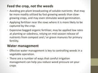 Feed the crop, not the weeds
• Avoiding pre-plant broadcasting of soluble nutrients that may
be more readily utilized by fast-growing weeds than slow-
growing crops, and may even stimulate weed germination.
• Applying fertilizer near the rows where it is more likely to be
captured by the crop.
• Expensive bagged organic fertilizer, may be applied low rates
at planting or sidedress, relying on mid-season release of
nutrients from compost and / or green manures for primary
fertility.
Water management
• Effective water management is key to controlling weeds in a
vegetable operation.
• There are a number of ways that careful irrigation
management can help you reduce weed pressure on your
crops
 
