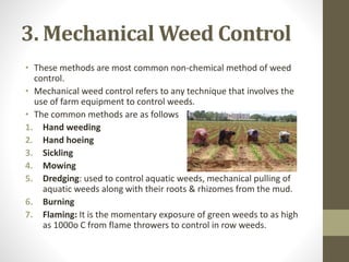 3. Mechanical Weed Control
• These methods are most common non-chemical method of weed
control.
• Mechanical weed control refers to any technique that involves the
use of farm equipment to control weeds.
• The common methods are as follows
1. Hand weeding
2. Hand hoeing
3. Sickling
4. Mowing
5. Dredging: used to control aquatic weeds, mechanical pulling of
aquatic weeds along with their roots & rhizomes from the mud.
6. Burning
7. Flaming: It is the momentary exposure of green weeds to as high
as 1000o C from flame throwers to control in row weeds.
 