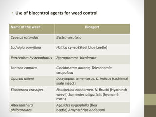 • Use of biocontrol agents for weed control
Name of the weed Bioagent
Cyperus rotundus Bactra verutana
Ludwigia parviflora Haltica cynea (Steel blue beetle)
Parthenism hysterophorus Zygrogramma bicolarata
Lantana camara Crocidosema lantana, Teleonnemia
scrupulosa
Opuntia dilleni Dactylopius tomentosus, D. Indicus (cochineal
scale insect)
Eichhornea crassipes Neochetina eichhornea, N. Bruchi (Hyachinth
weevil) Sameodes alliguttalis (hyancinth
moth)
Alternanthera
philoxaroides
Agasides hygrophilla (flea
beetle) Amynothrips andersoni
 