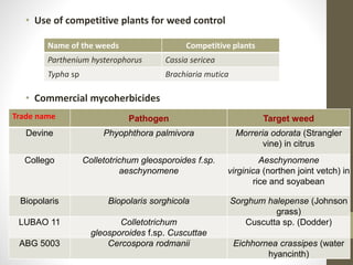 • Use of competitive plants for weed control
• Commercial mycoherbicides
Name of the weeds Competitive plants
Parthenium hysterophorus Cassia sericea
Typha sp Brachiaria mutica
Trade name Pathogen Target weed
Devine Phyophthora palmivora Morreria odorata (Strangler
vine) in citrus
Collego Colletotrichum gleosporoides f.sp.
aeschynomene
Aeschynomene
virginica (northen joint vetch) in
rice and soyabean
Biopolaris Biopolaris sorghicola Sorghum halepense (Johnson
grass)
LUBAO 11 Colletotrichum
gleosporoides f.sp. Cuscuttae
Cuscutta sp. (Dodder)
ABG 5003 Cercospora rodmanii Eichhornea crassipes (water
hyancinth)
 