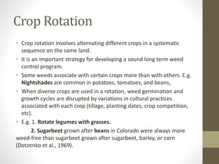 Crop Rotation
• Crop rotation involves alternating different crops in a systematic
sequence on the same land.
• It is an important strategy for developing a sound long term weed
control program.
• Some weeds associate with certain crops more than with others. E.g.
Nightshades are common in potatoes, tomatoes, and beans,
• When diverse crops are used in a rotation, weed germination and
growth cycles are disrupted by variations in cultural practices
associated with each crop (tillage, planting dates, crop competition,
etc).
• E.g. 1. Rotate legumes with grasses.
2. Sugarbeet grown after beans in Colorado were always more
weed-free than sugarbeet grown after sugarbeet, barley, or corn
(Dotzenko et al., 1969).
 