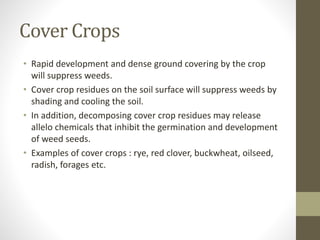 Cover Crops
• Rapid development and dense ground covering by the crop
will suppress weeds.
• Cover crop residues on the soil surface will suppress weeds by
shading and cooling the soil.
• In addition, decomposing cover crop residues may release
allelo chemicals that inhibit the germination and development
of weed seeds.
• Examples of cover crops : rye, red clover, buckwheat, oilseed,
radish, forages etc.
 