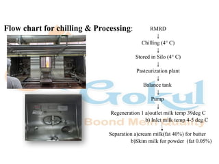 Chilling Process “Comprehensive Report on Industrial Training at Gokul Dairy: Processing ...