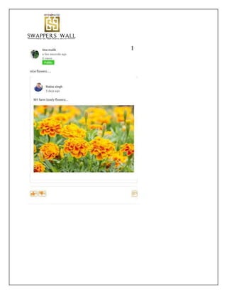 How To Create Wallet in Swapper wall  