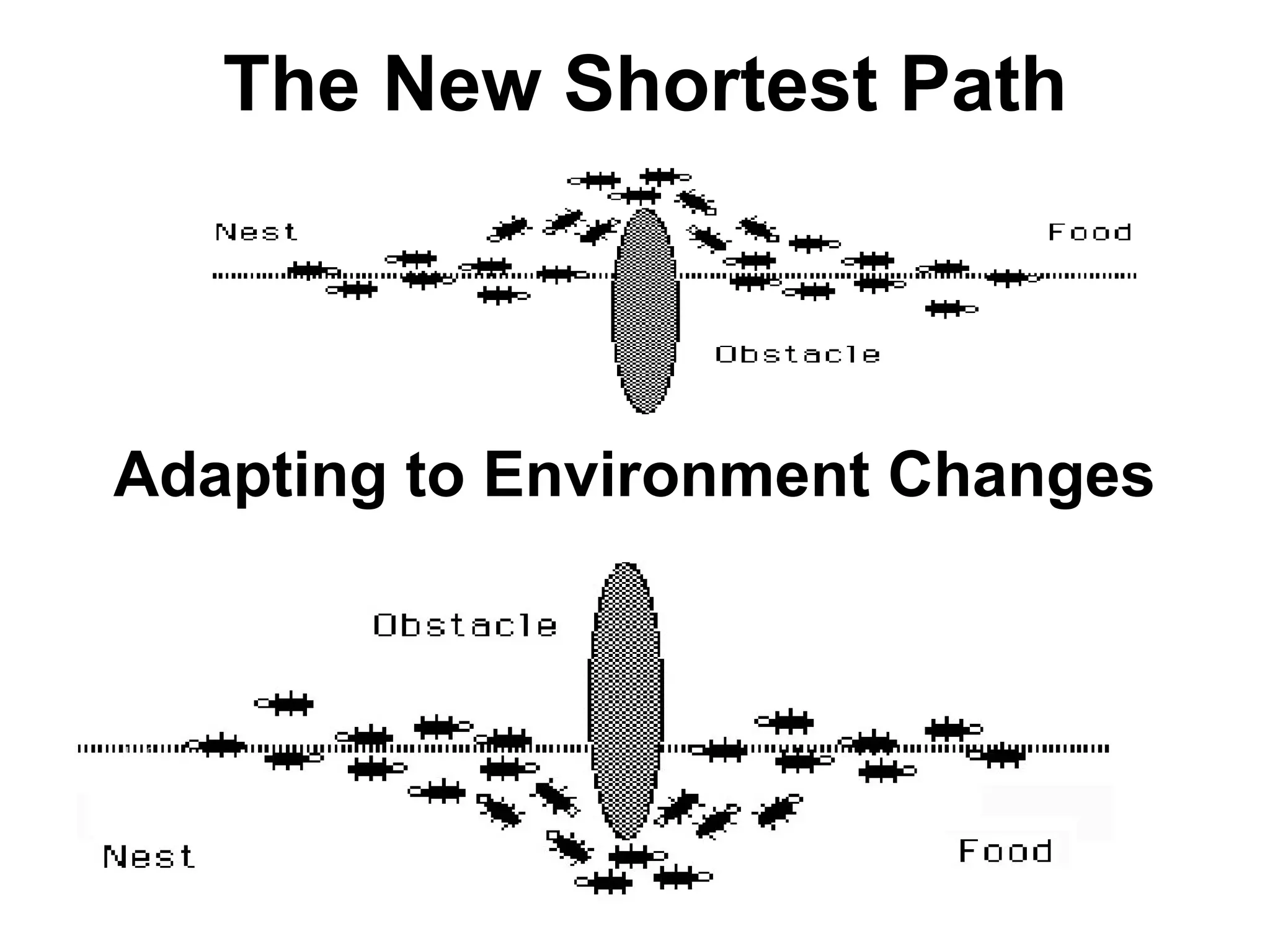 The New Shortest Path
Adapting to Environment Changes
 