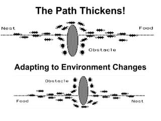 The Path Thickens!
Adapting to Environment Changes
 