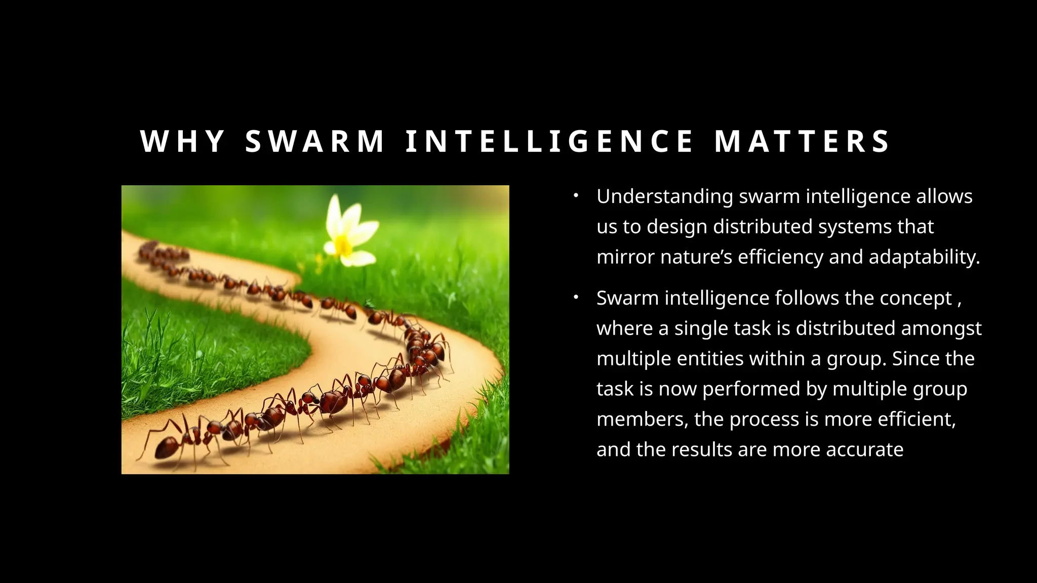 W H Y S W A R M I N T E L L I G E N C E M AT T E R S
• Understanding swarm intelligence allows
us to design distributed systems that
mirror nature’s efficiency and adaptability.
• Swarm intelligence follows the concept ,
where a single task is distributed amongst
multiple entities within a group. Since the
task is now performed by multiple group
members, the process is more efficient,
and the results are more accurate
 