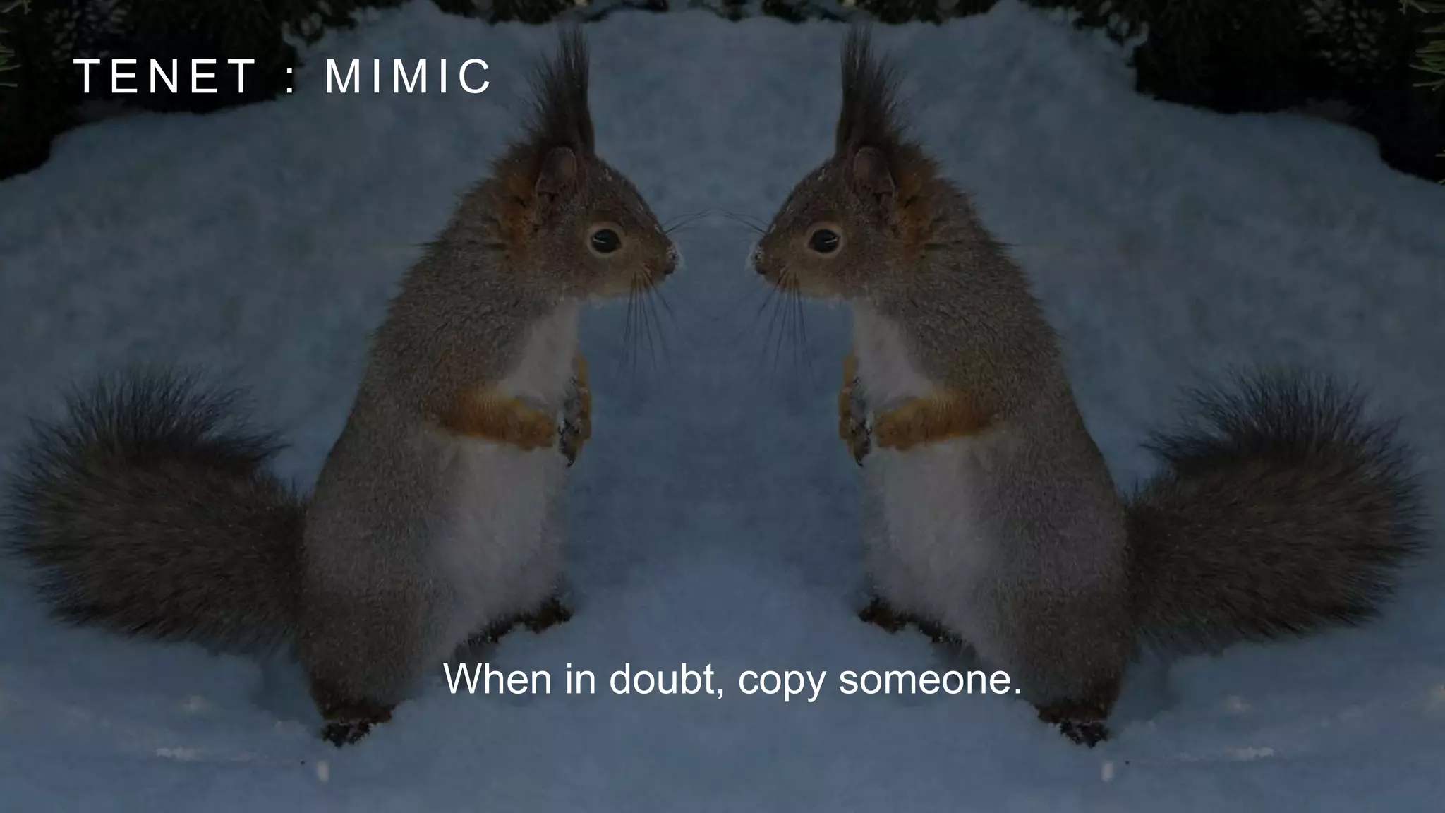 T E N E T : M I M I C
When in doubt, copy someone.
 