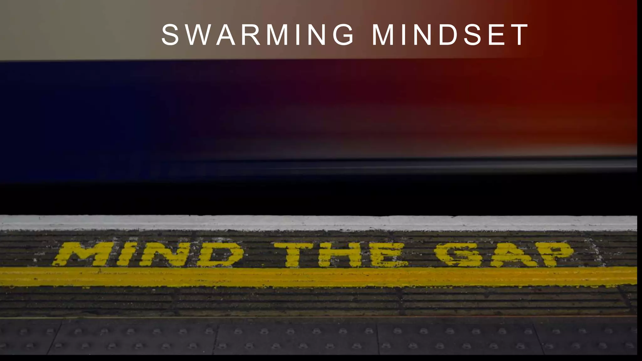 S W A R M I N G M I N D S E T
 