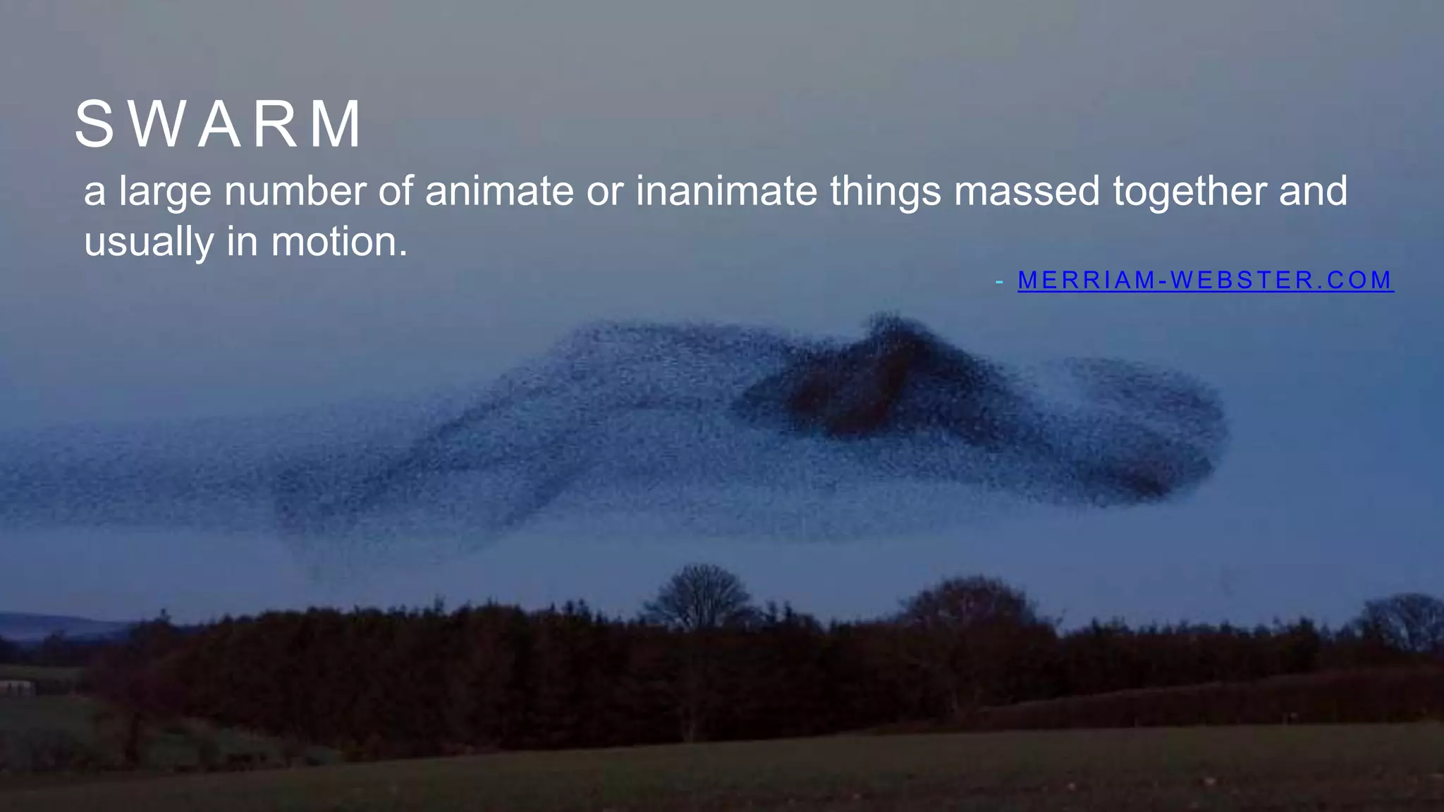 S W A R M
a large number of animate or inanimate things massed together and
usually in motion.
- M E R R I A M - W E B S T E R . C O M
 