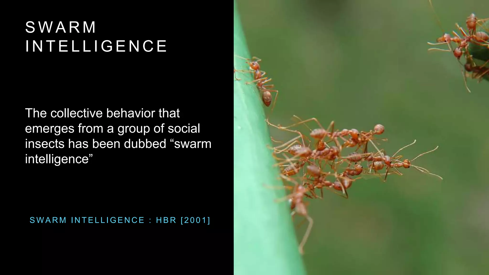 S W A R M
I N T E L L I G E N C E
The collective behavior that
emerges from a group of social
insects has been dubbed “swarm
intelligence”
S W A R M I N T E L L I G E N C E : H B R [ 2 0 0 1 ]
 