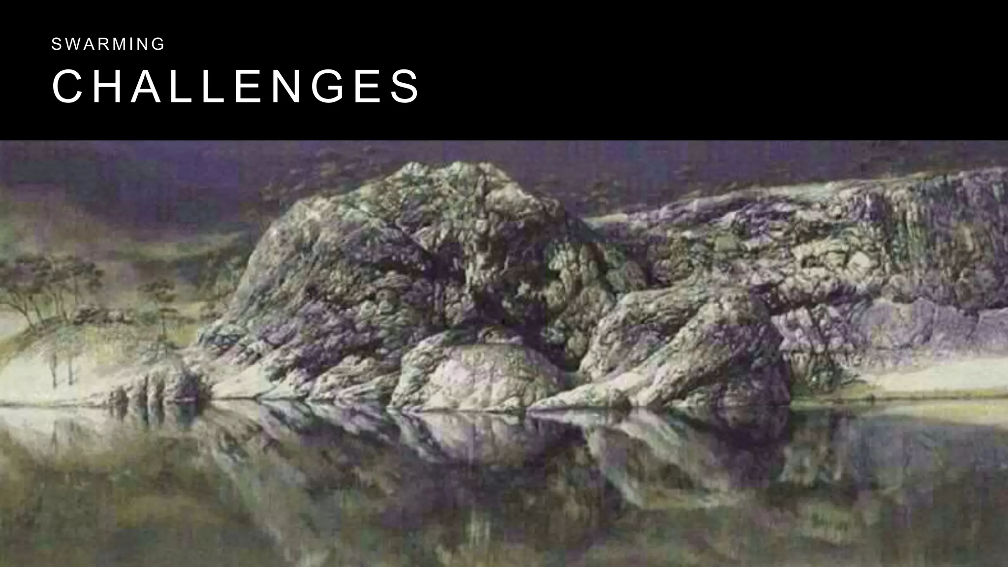 C H A L L E N G E S
S W A R M I N G
 