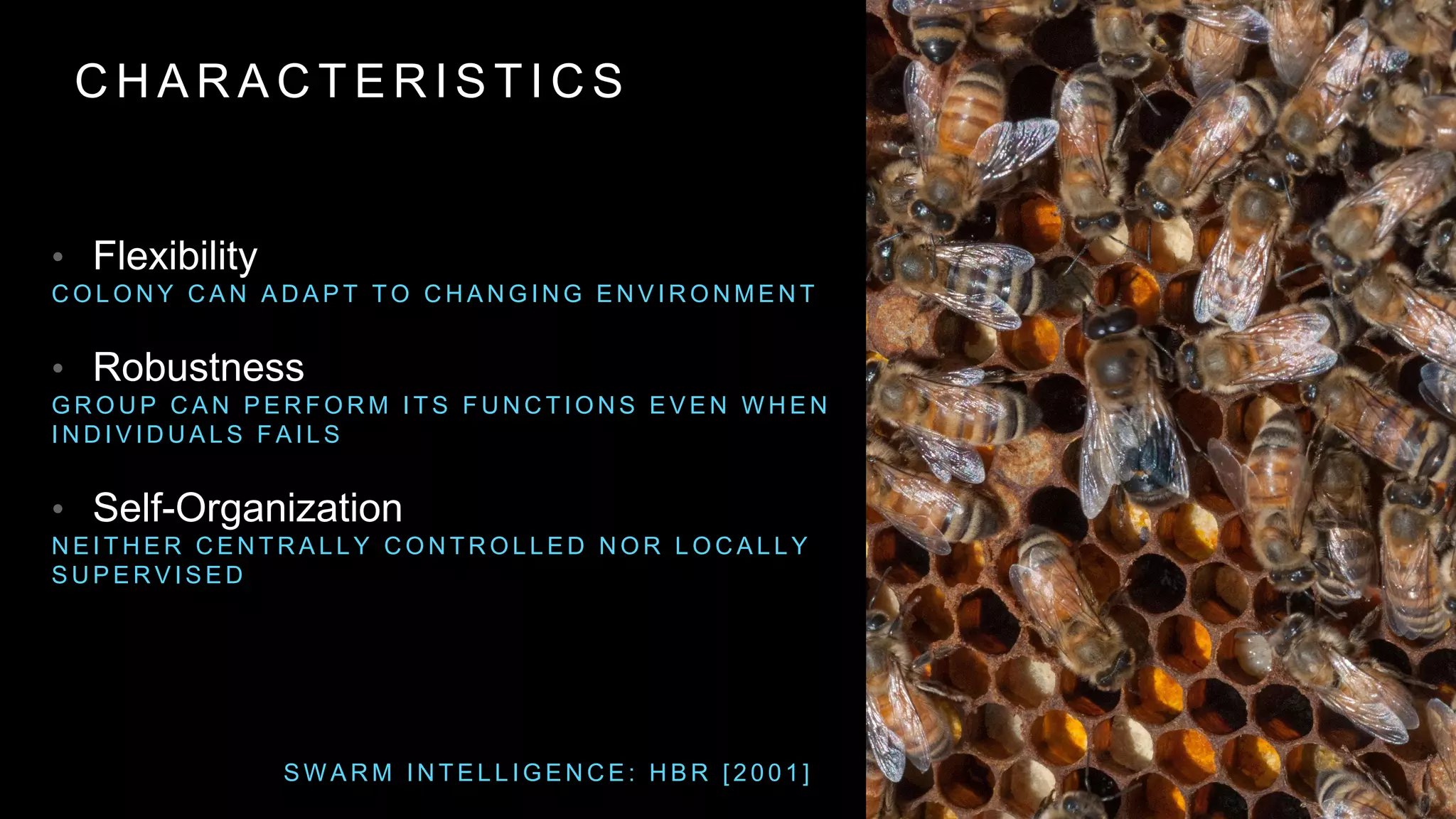 C H A R A C T E R I S T I C S
• Flexibility
C O L O N Y C A N A D A P T T O C H A N G I N G E N V I R O N M E N T
• Robustness
G R O U P C A N P E R F O R M I T S F U N C T I O N S E V E N W H E N
I N D I V I D U A L S F A I L S
• Self-Organization
N E I T H E R C E N T R A L L Y C O N T R O L L E D N O R L O C A L L Y
S U P E R V I S E D
S W A R M I N T E L L I G E N C E : H B R [ 2 0 0 1 ]
 
