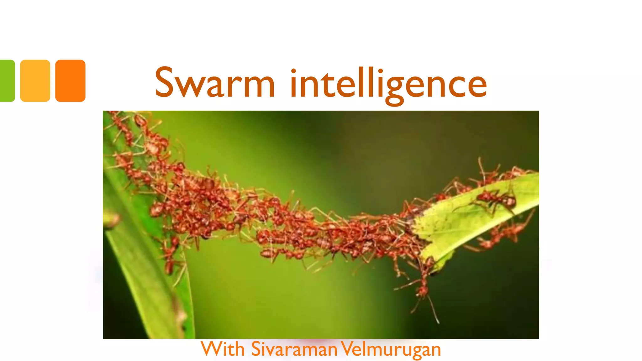 Swarm intelligence
With SivaramanVelmurugan
 
